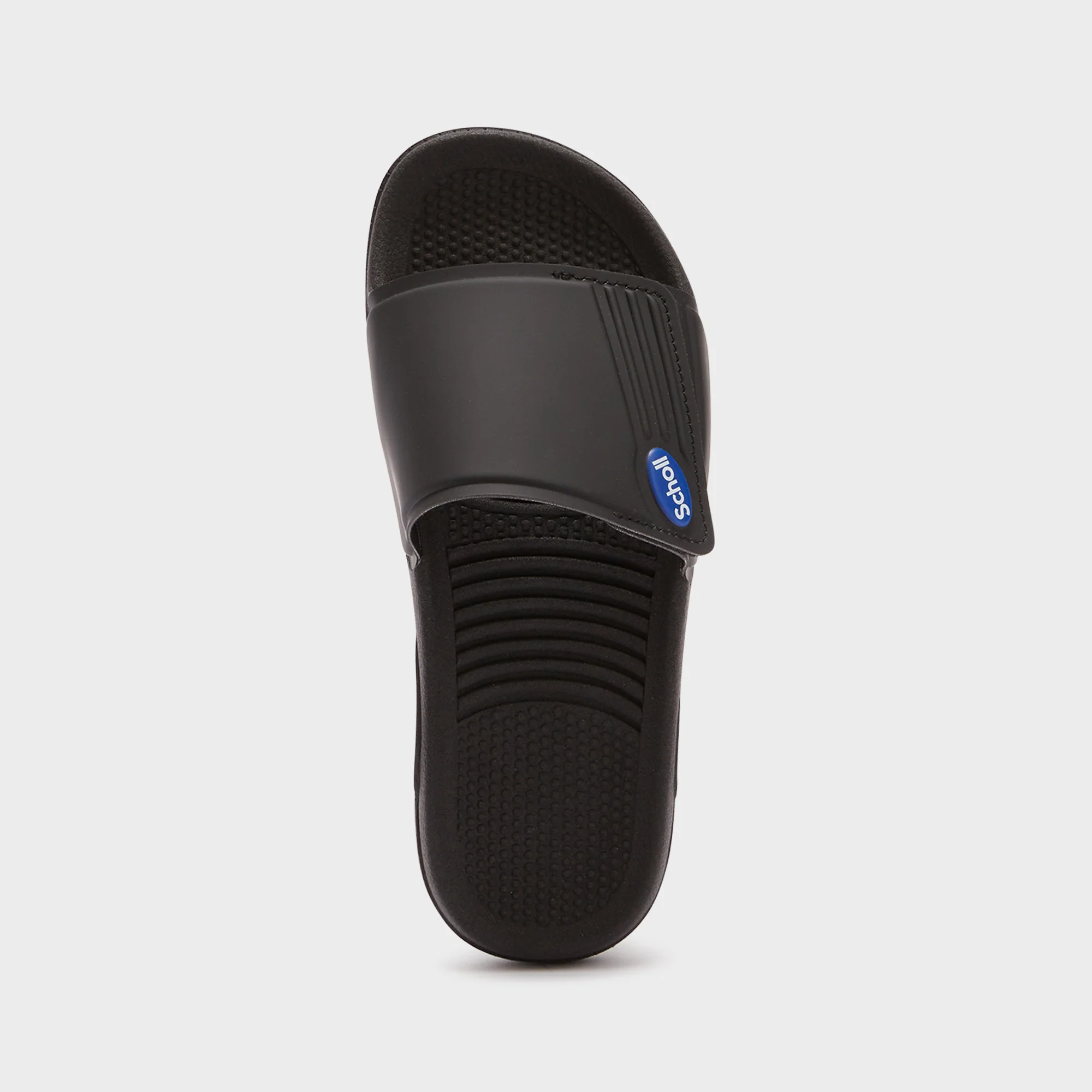 Scholl Nautilus - Image 3